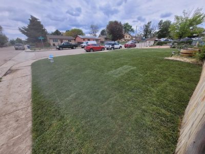 Lawn Care Services Turf Installation