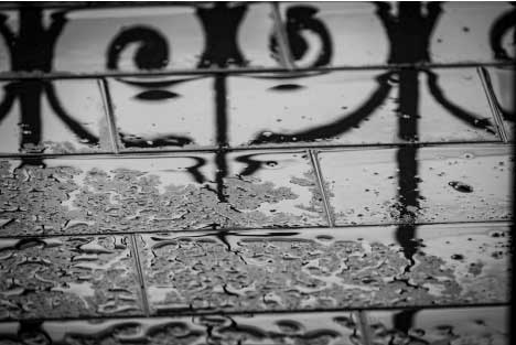 Wet and Humid Climates