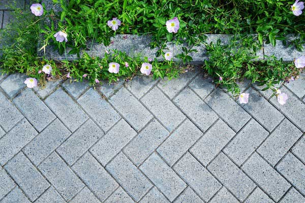 Learn More About Pavers