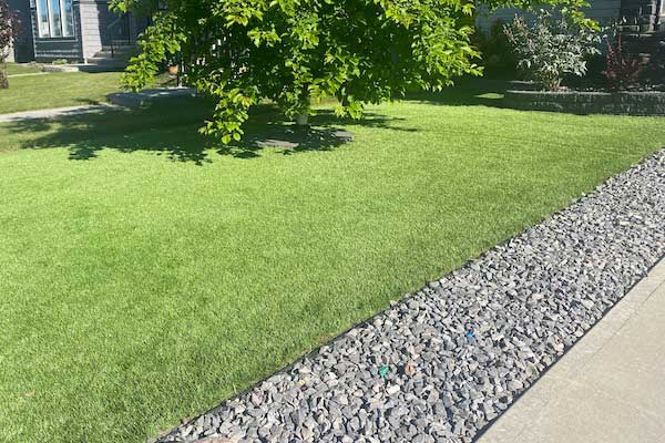 Learn More About Turf