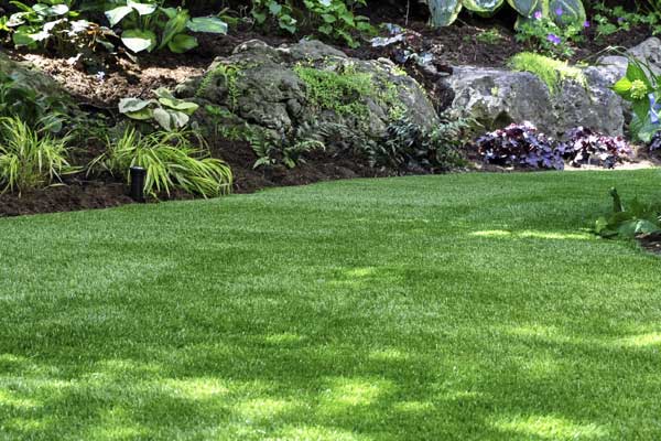 Turf Image 1024x680 Turf Services
